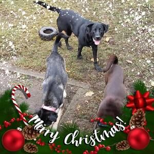 Meet your Posher, Margaret